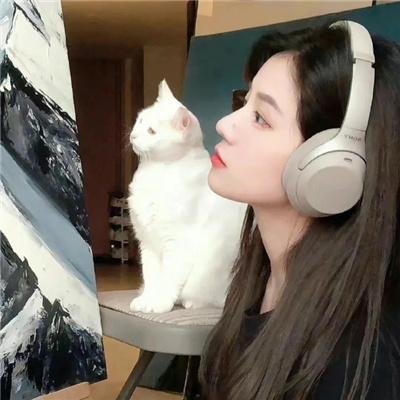 海外精选