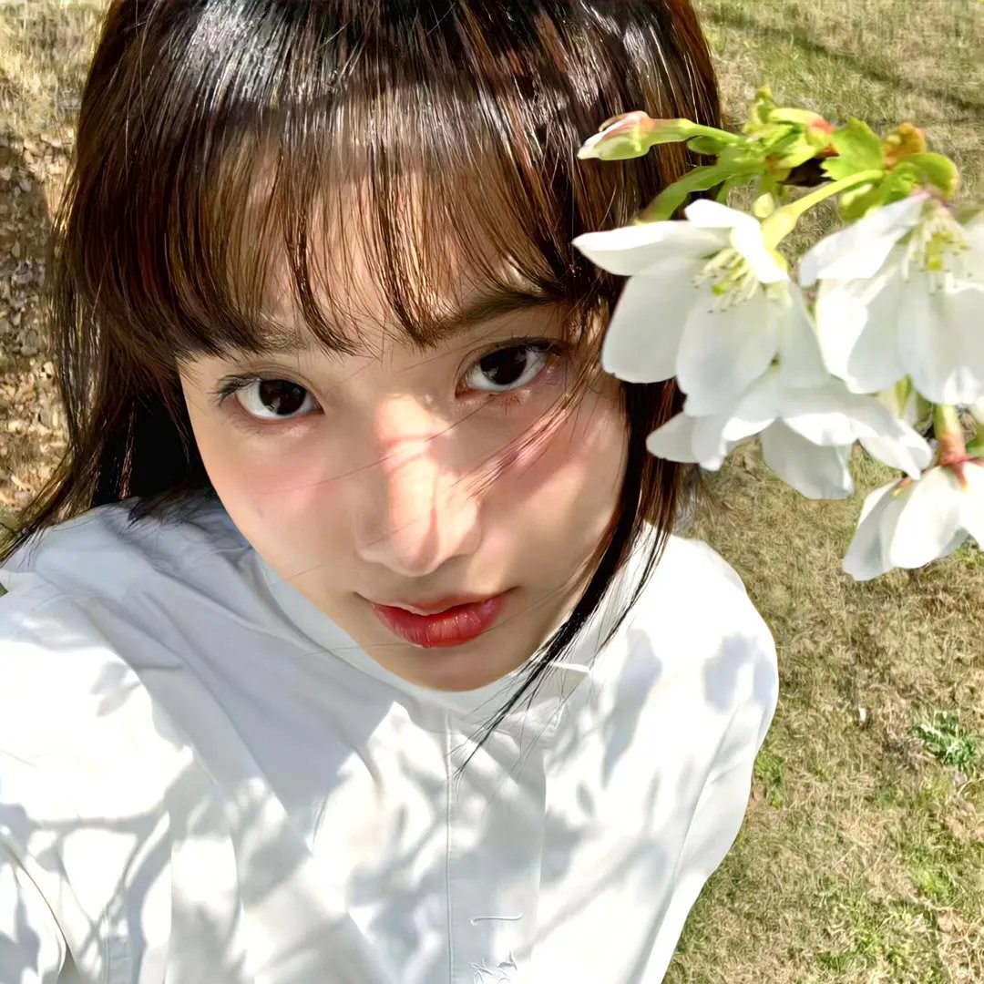 热带复眼